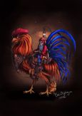 Rooster_1